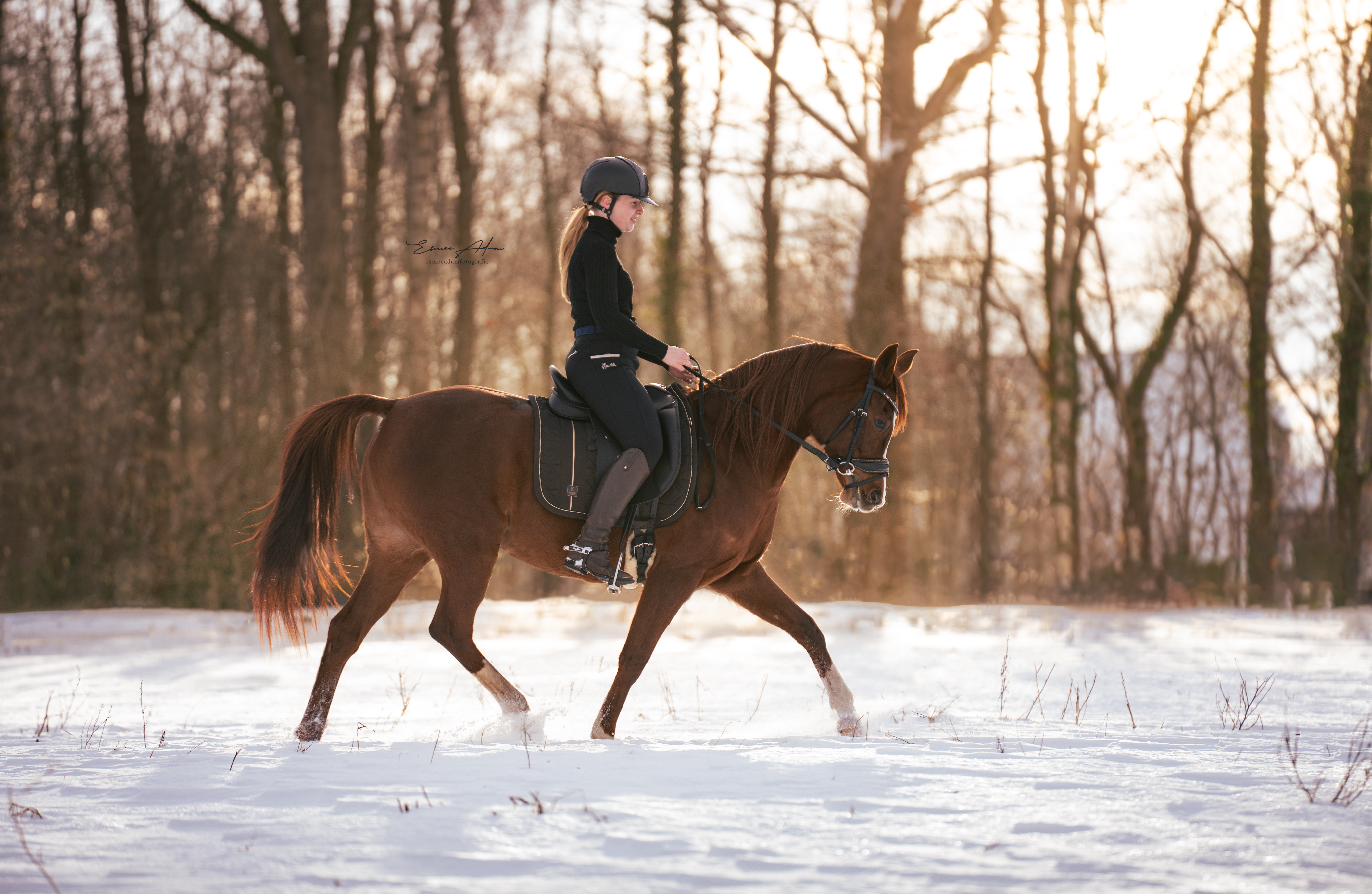 Malini Training Center